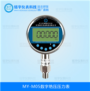 數(shù)字絕壓壓力表MY-M05